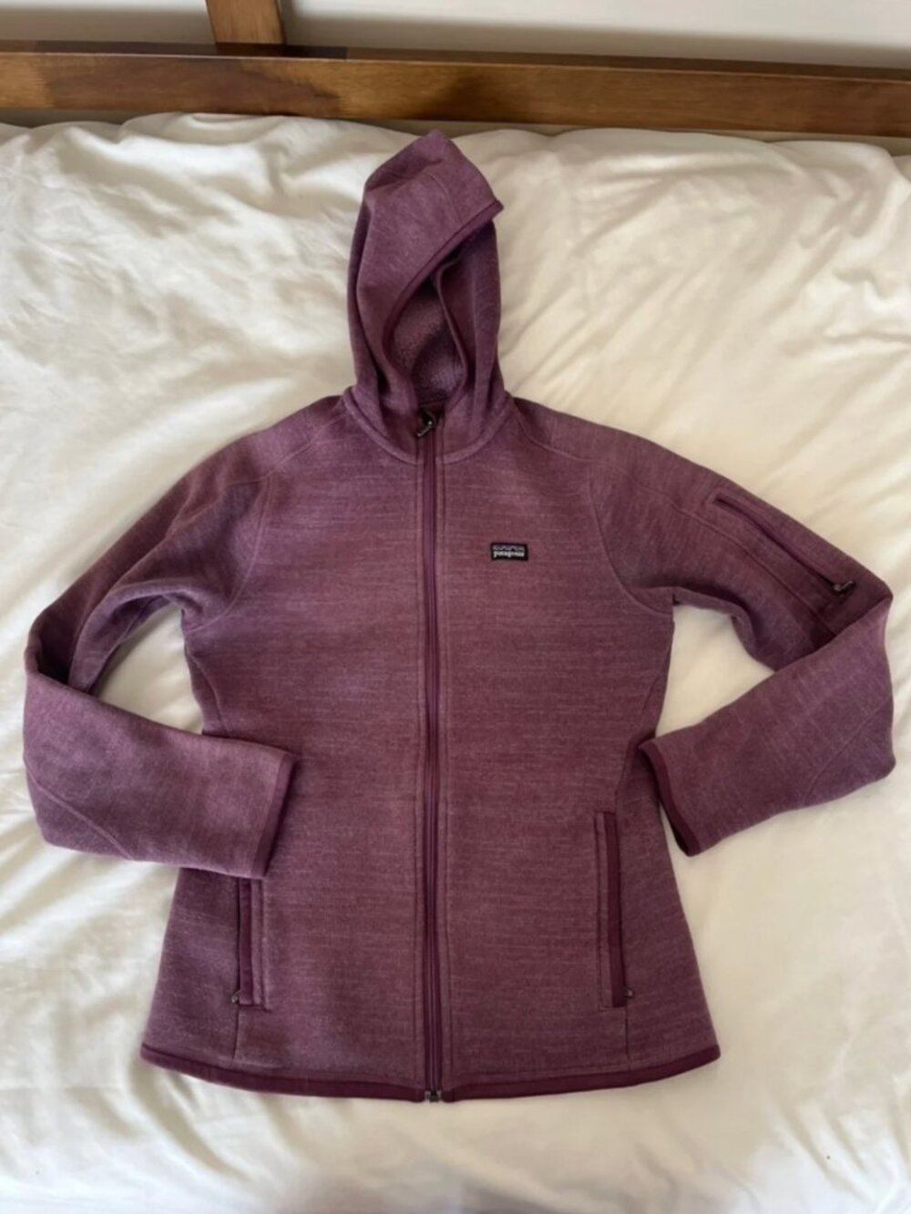 Patagonia Better SweaterJacket with Hood